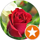 Home 11 Sajad Pooyan profile picture